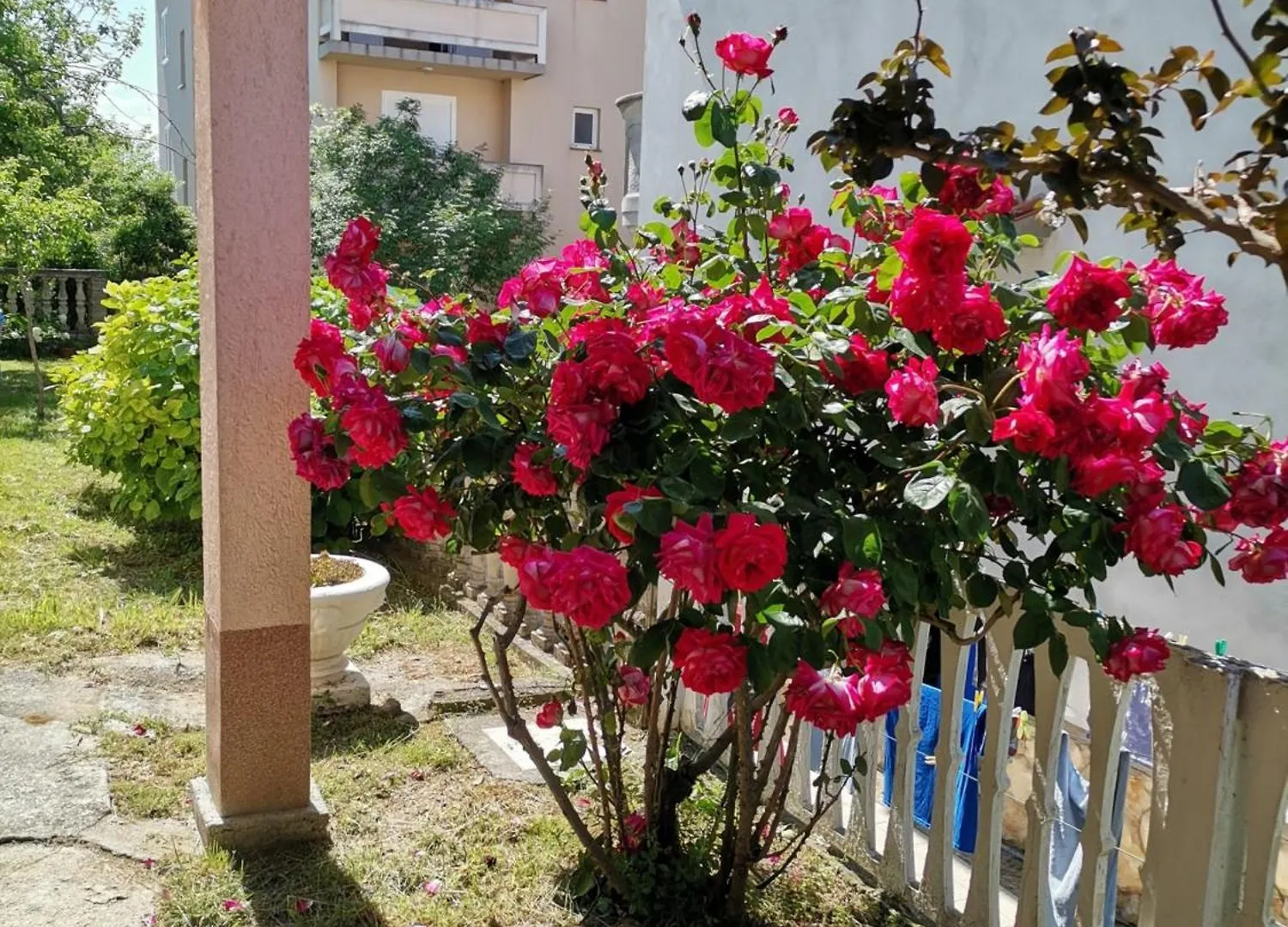 Apartment In Lopar With Terrace, Air Condition, Wifi 4620-4